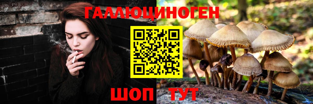 Валуйки  закладки  Вход с VPN  Галлюциногенные грибы Magic Shrooms 