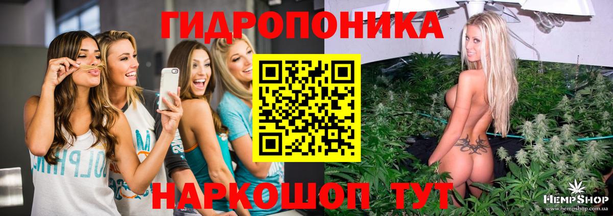 Валуйки  МАРИХУАНА ГИДРОПОН  Конопля LSD WEED  Вход с VPN  Конопля индика 